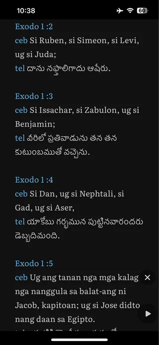 BibleRead parallel text reader showing two translations side by side